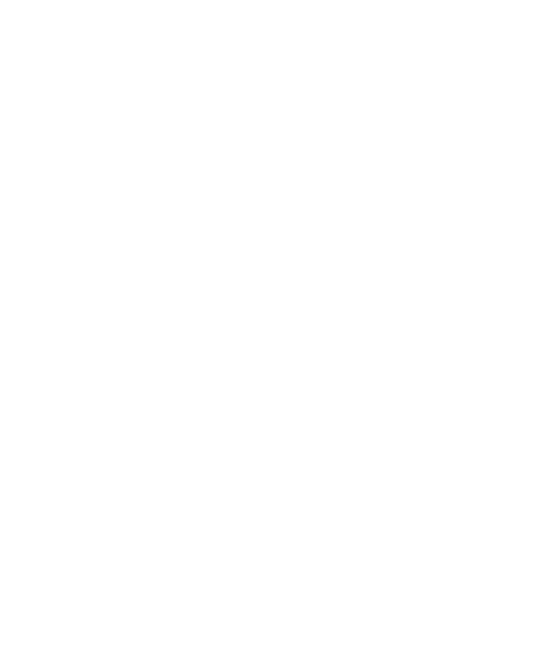 Focus Brick